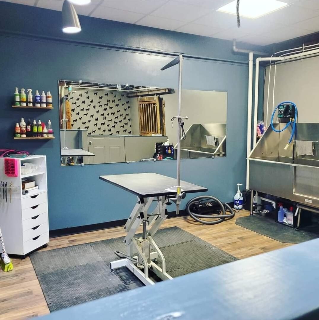 Inside The Paw Pad salon: grooming table, tub and shelves of products